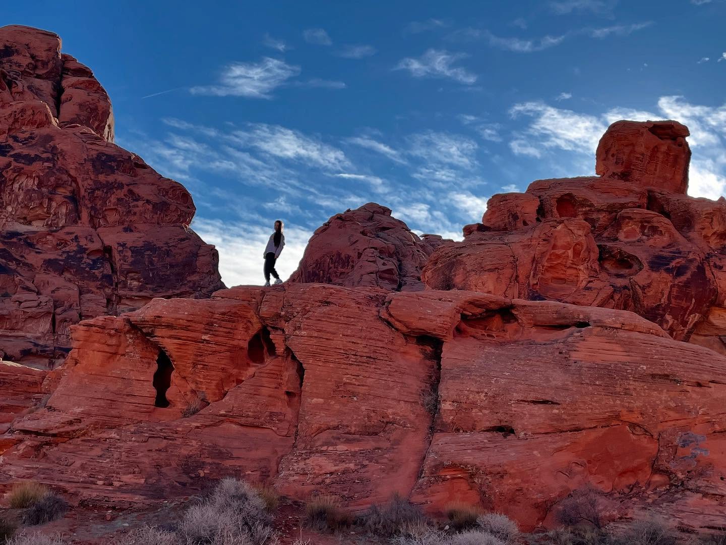 Heimwee naar the USA… 🇺🇸 het voelt altijd als thuiskomen wanneer we in Amerika zijn. Vooral de desert states vind ik waanzinnig mooi. Eindeloze, desolate landschappen, rode rotsen en een roze oranje lucht die ‘s nachts vol staat met sterren ⭐️… om dan daaronder te slapen en ‘s ochtends weer wakker te worden tussen de pastelkleuren en de cactussen 🌵 dat is toch echt waanzinnig. ………………………………………………………………………………………………………………………………………………………………………………………………………………………………………………………#valleyoffire #valleyoffirestatepark #valleyoffirenevada #nevada #nevadadesert #usa #usatravel #usaroadtrip #usatrip #americanstyle #americana #unitedstatesofamerica #travelphotography #naturephotography #desert #desertlife #instatravel #travelwithkids #travelkids